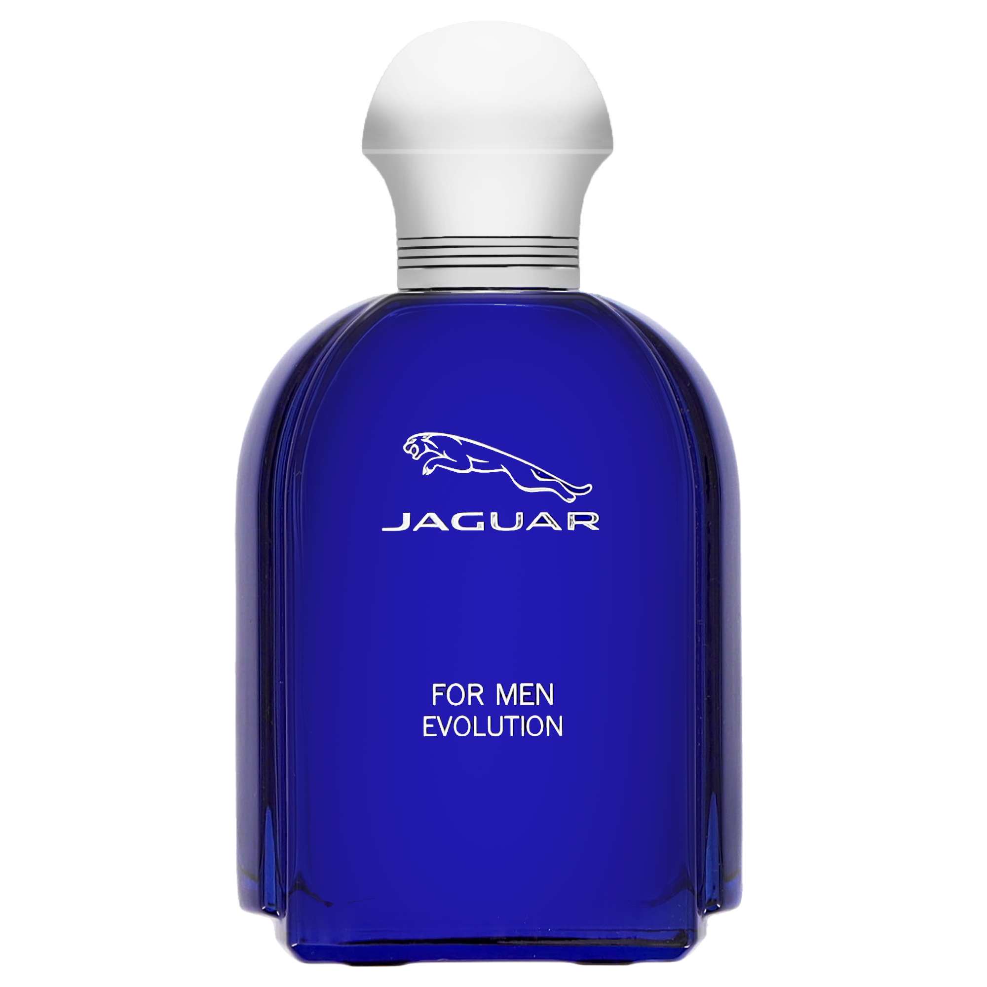 Photos - Men's Fragrance Jaguar Evolution Eau de Toilette Spray 100ml 